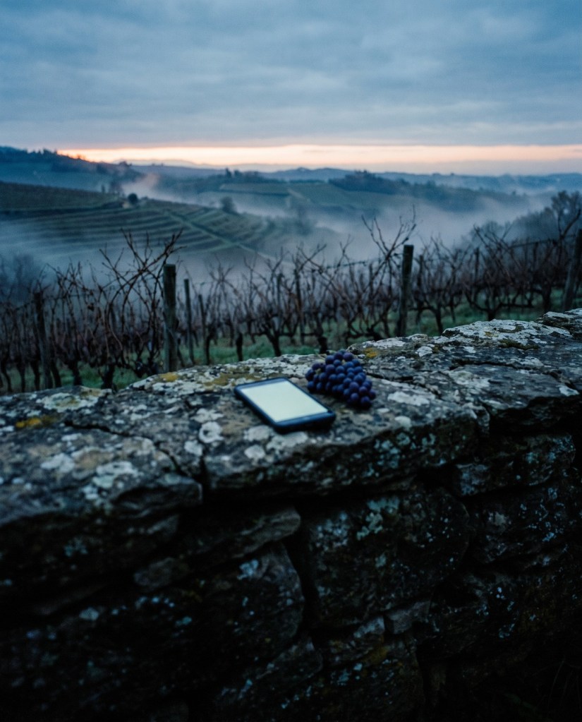 Un telefono acceso su un muretto a secco tra le vigne all'alba